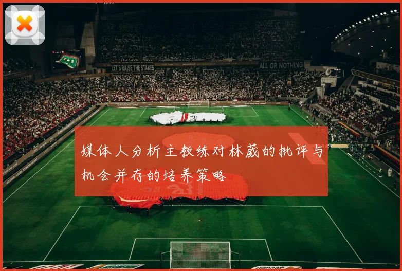 媒体人分析主教练对林葳的批评与机会并存的培养策略