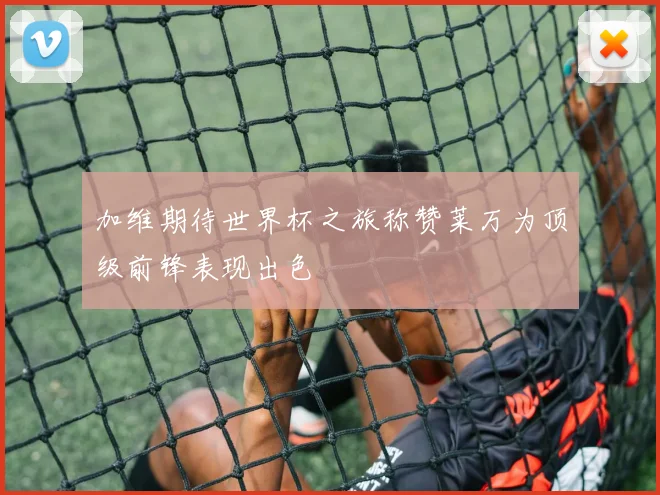 加维期待世界杯之旅称赞莱万为顶级前锋表现出色