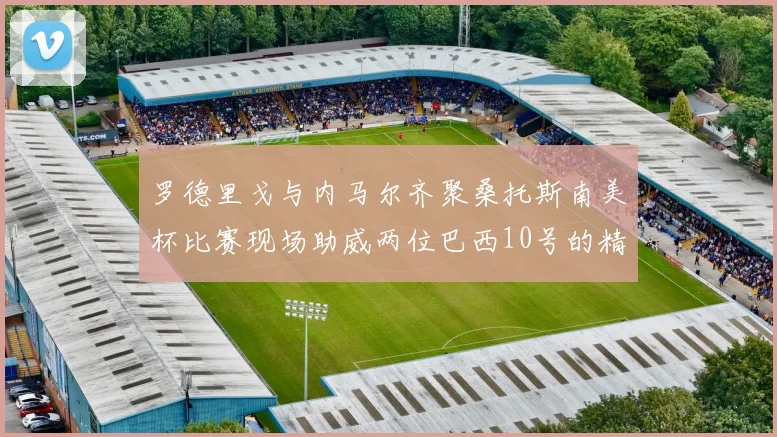 罗德里戈与内马尔齐聚桑托斯南美杯比赛现场助威两位巴西10号的精彩时刻